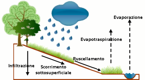 Evapotranspiration