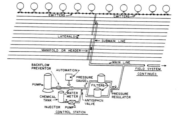 Schema di un impianto di microirrigazione